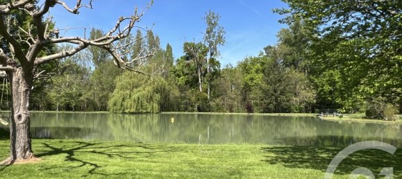 4 bedrooms House in Selles-sur-Cher, France No. 69538 4