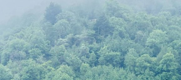 1 bedroom Penthouse in Ballabio, Italy No. 279905 14