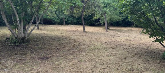 Terreno en Coburg, Germany No. 241651 4