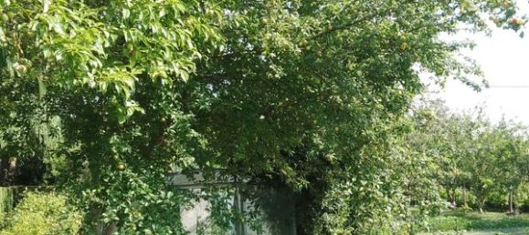 Grundstück in Nord, France, Nr. 332013 2