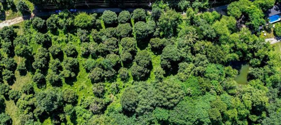 Terrain à Chiang Mai, Thailand No. 57719 6