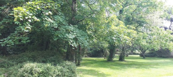 8 bedrooms House in Sainte-Maure-de-Touraine, France No. 232839 14