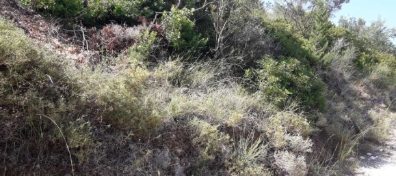 Land for sale in Zakynthos, Ionian Islands, Peloponnese, Western Greece and the Ionian, Greece № 578 10