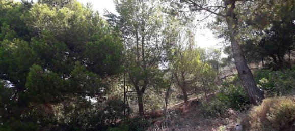 Land for sale in Zakynthos, Ionian Islands, Peloponnese, Western Greece and the Ionian, Greece № 578 7
