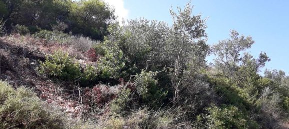 Land for sale in Zakynthos, Ionian Islands, Peloponnese, Western Greece and the Ionian, Greece № 578 11