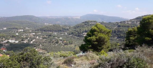 Land for sale in Zakynthos, Ionian Islands, Peloponnese, Western Greece and the Ionian, Greece № 578 20