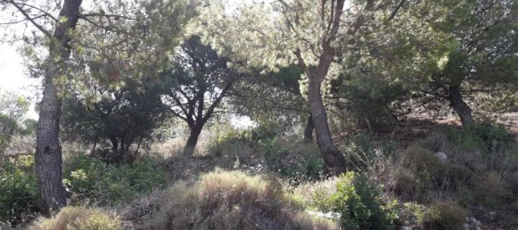 Land for sale in Zakynthos, Ionian Islands, Peloponnese, Western Greece and the Ionian, Greece № 578 4