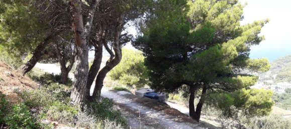 Land for sale in Zakynthos, Ionian Islands, Peloponnese, Western Greece and the Ionian, Greece № 578 2