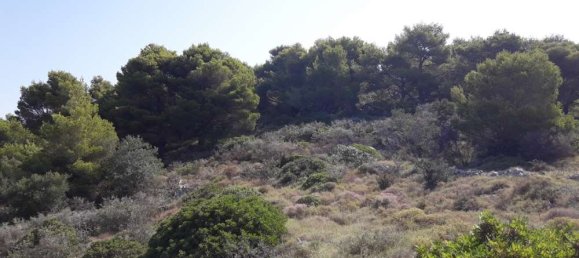 Land for sale in Zakynthos, Ionian Islands, Peloponnese, Western Greece and the Ionian, Greece № 578 19