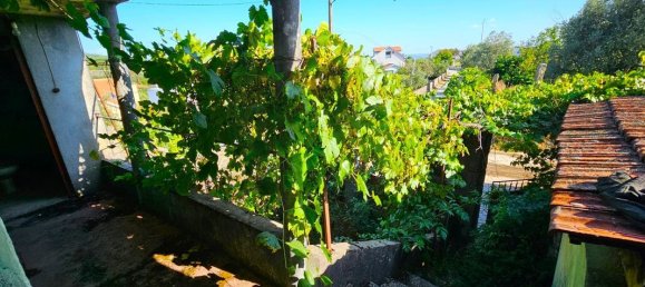 1 bedroom House in Castro Daire, Portugal No. 169334 7