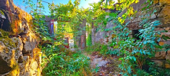 1 bedroom House in Castro Daire, Portugal No. 169334 5