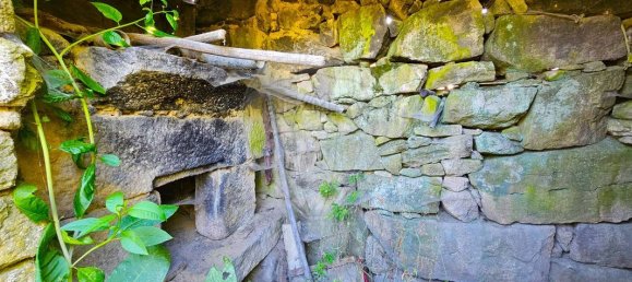 1 bedroom House in Castro Daire, Portugal No. 169334 15