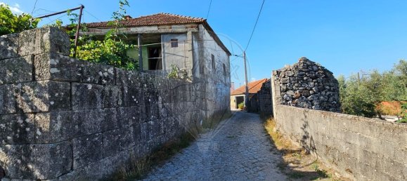 1 bedroom House in Castro Daire, Portugal No. 169334 3