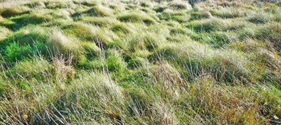 Terreno em Weinitzen, Austria N.º 134289 3