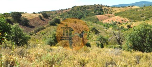 18990m² Land in Santa Catarina da Fonte do Bispo, Portugal No. 72240 10