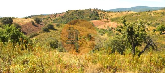 18990m² Land in Santa Catarina da Fonte do Bispo, Portugal No. 72240 4