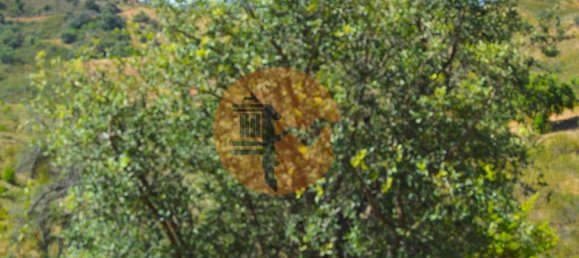 18990m² Land in Santa Catarina da Fonte do Bispo, Portugal No. 72240 17