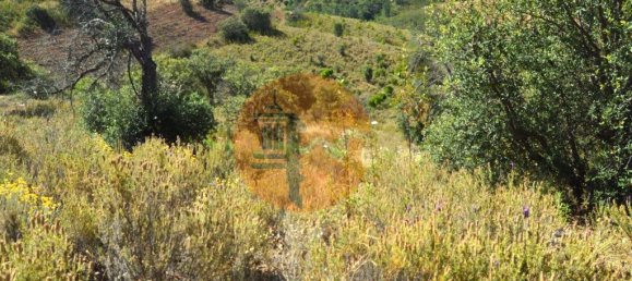 18990m² Land in Santa Catarina da Fonte do Bispo, Portugal No. 72240 12