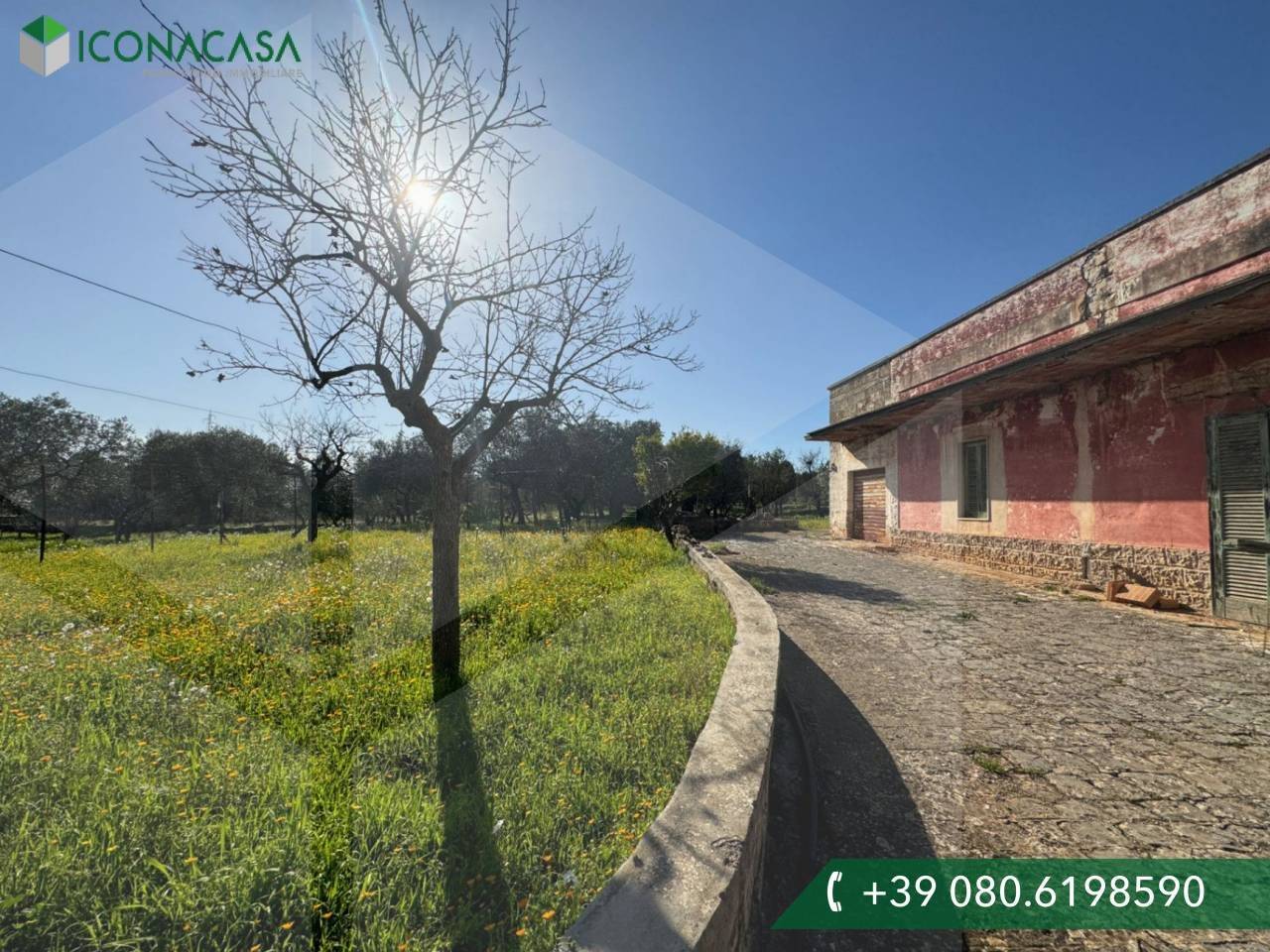 5 غرف نوم فيلا في Monopoli, Italy رقم 20561