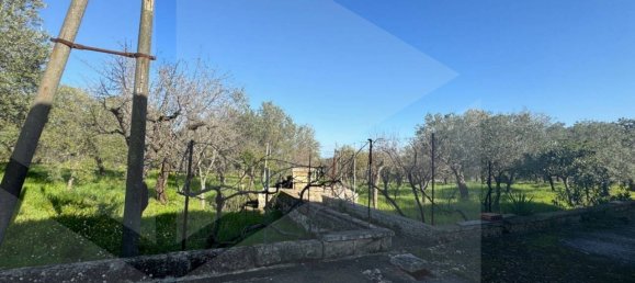 5 غرف نوم فيلا في Monopoli, Italy رقم 20561 18