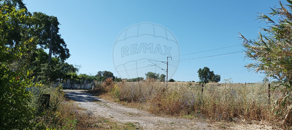 2 Schlafzimmer Haus in Cabrela, Portugal, Nr. 25507 4