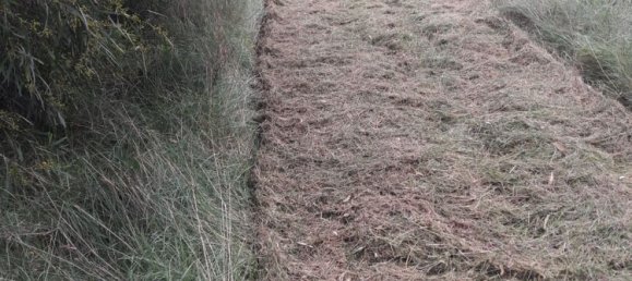 27000m² Land in Sardinia, Italy No. 257206 15