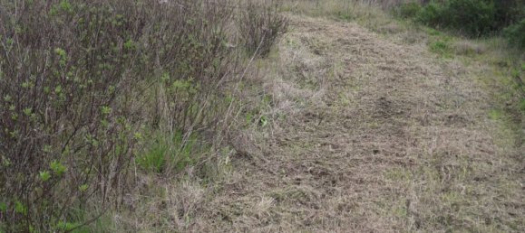 27000m² Land in Sardinia, Italy No. 257206 5