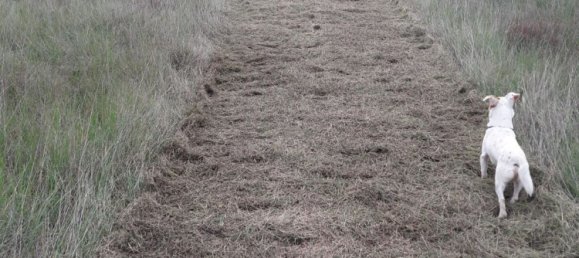 27000m² Land in Sardinia, Italy No. 257206 2