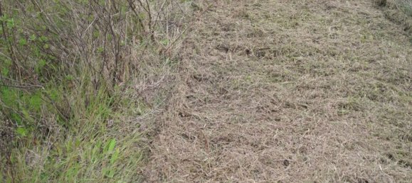 27000m² Land in Sardinia, Italy No. 257206 3