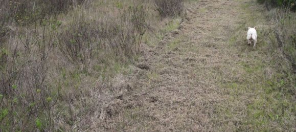 27000m² Land in Sardinia, Italy No. 257206 13