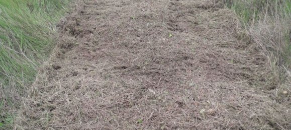 27000m² Land in Sardinia, Italy No. 257206 18