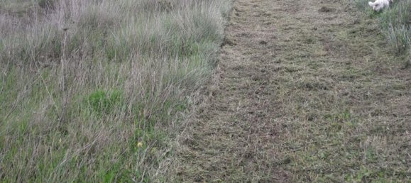 27000m² Land in Sardinia, Italy No. 257206 7