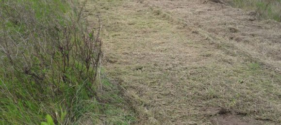 27000m² Land in Sardinia, Italy No. 257206 6