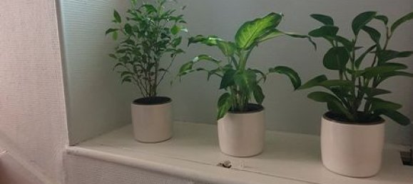 3 bedrooms Townhouse in Nogent-le-Roi, France No. 82478 6