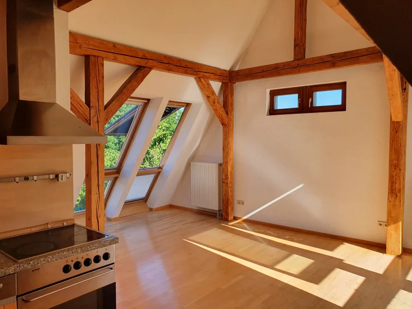 1 chambre Appartement à Freiburg im Breisgau, Germany No. 228381