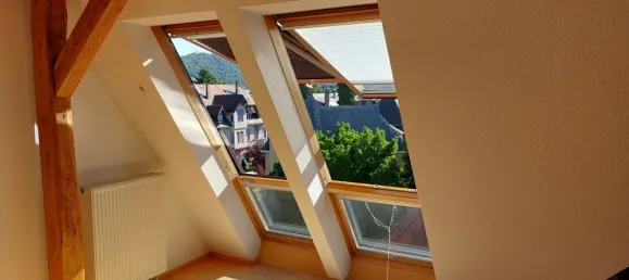 1 chambre Appartement à Freiburg im Breisgau, Germany No. 228381 4