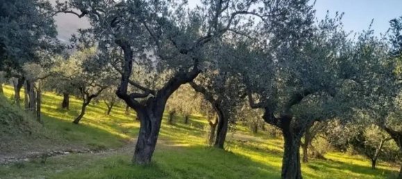 15-salle Maison à Fano, Italy No. 169713 8