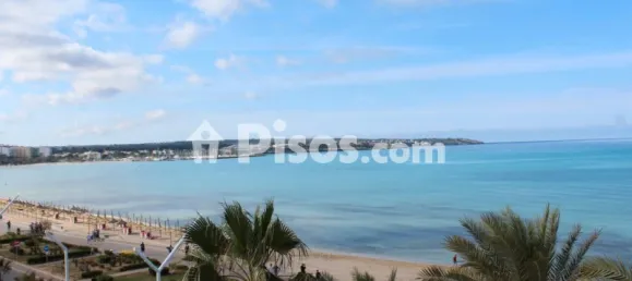 6 Schlafzimmer Penthouse in Palma de Majorca, Spain, Nr. 173923 5