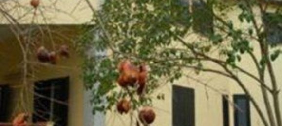 3 rooms Apartment in Corigliano Rossano, Italy No. 258675 15