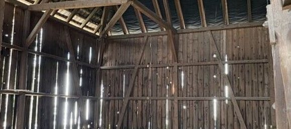 5 bedrooms House in Bartenheim, France No. 82113 15