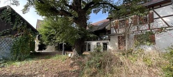 5 bedrooms House in Bartenheim, France No. 82113 31