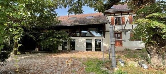 5 bedrooms House in Bartenheim, France No. 82113 7