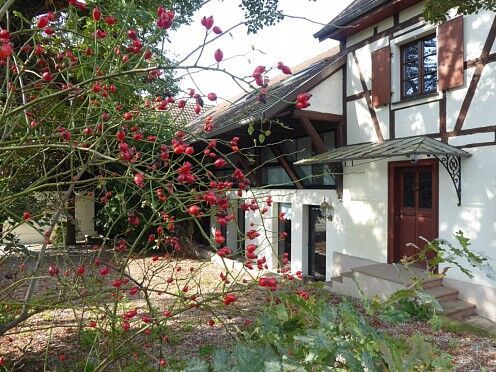 5 bedrooms House in Bartenheim, France No. 82113