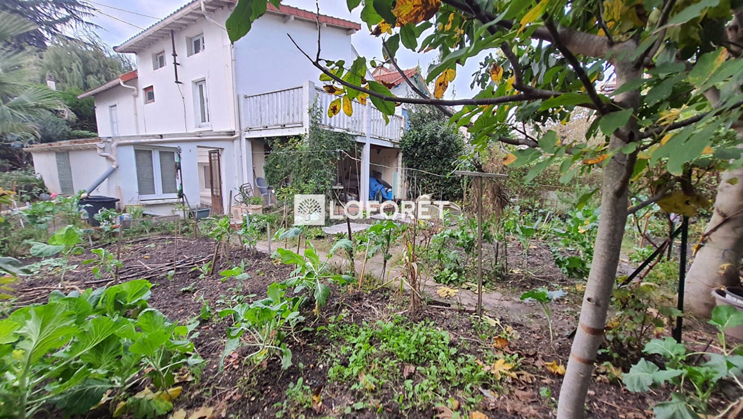 Casa T3 em Cachan, France N.º 184634