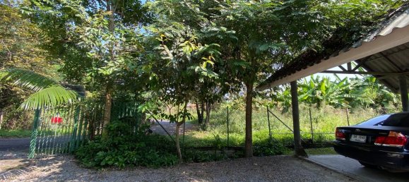 3 bedrooms Cafe / restaurant in Chiang Mai, Thailand No. 21819 5