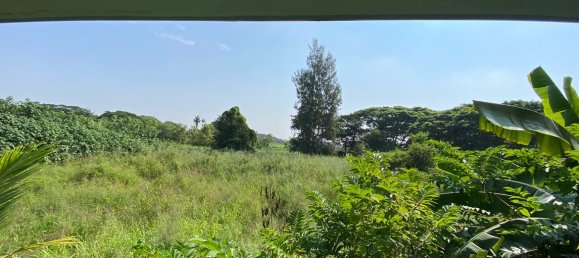 3 bedrooms Cafe / restaurant in Chiang Mai, Thailand No. 21819 25