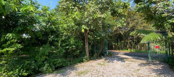 3 bedrooms Cafe / restaurant in Chiang Mai, Thailand No. 21819 3