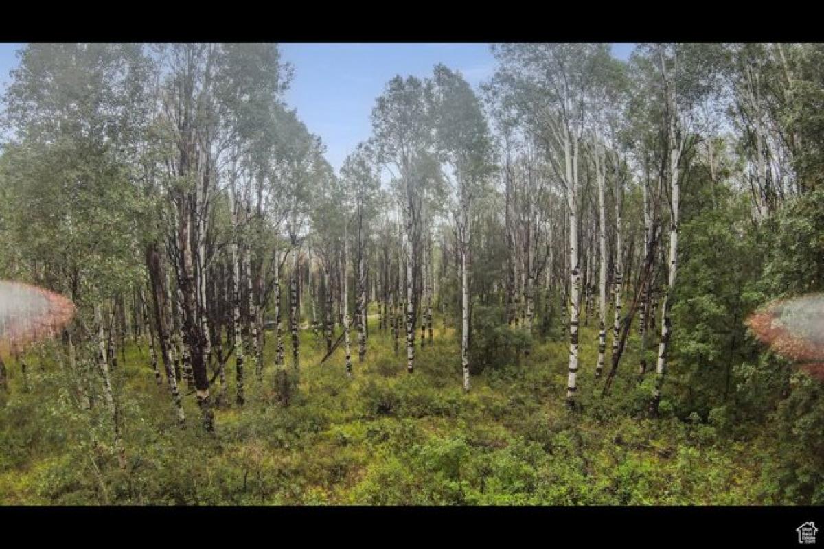  Land in Spanish Fork, USA No. 481860