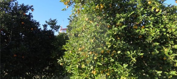 3 bedrooms House in Vila Velha de Rodao, Portugal No. 182019 42