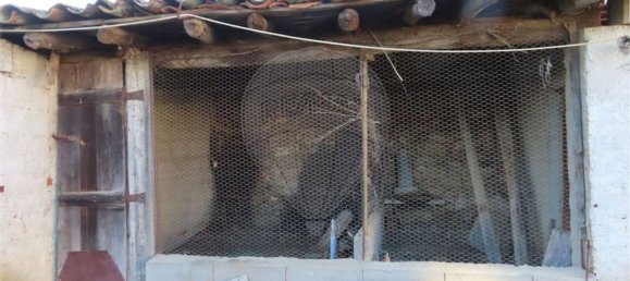 3 bedrooms House in Vila Velha de Rodao, Portugal No. 182019 6